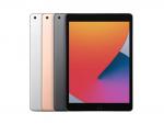 iPad(8)