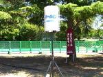 サークルライト/強力ライトスタンド サークルライト/強力ライトスタンド