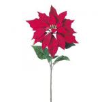 クリスマスフラワー(ポインセチア) ビッグポインセチア クリスマスフラワー(ポインセチア) ビッグポインセチア