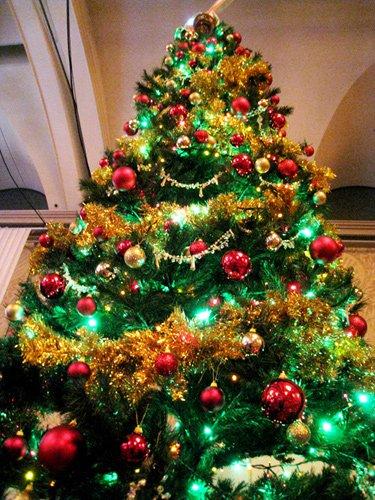 巨大クリスマスツリー デ、デカい」ディズニーランドに巨大ツリー復活 高さ15m